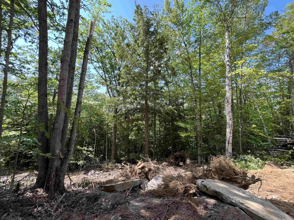 000 Echo View Drive Plymouth VT 05056