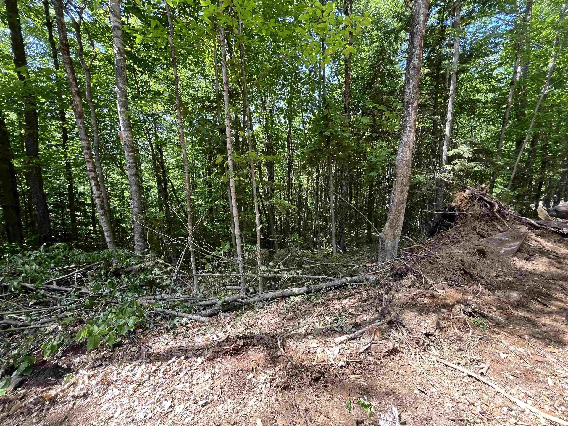 000 Echo View Drive Plymouth VT 05056