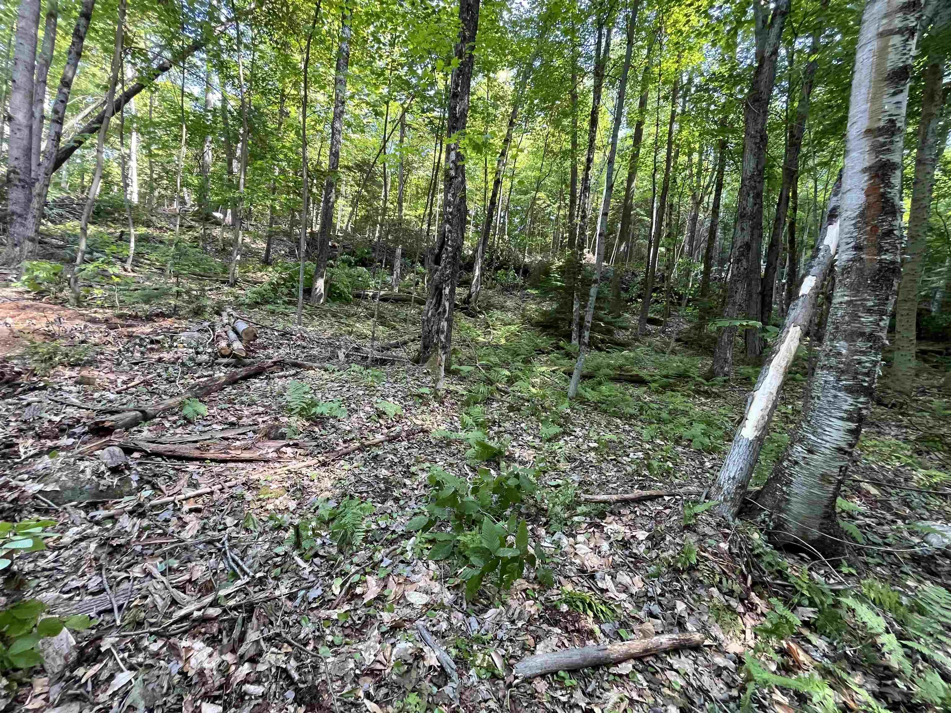 000 Echo View Drive Plymouth VT 05056