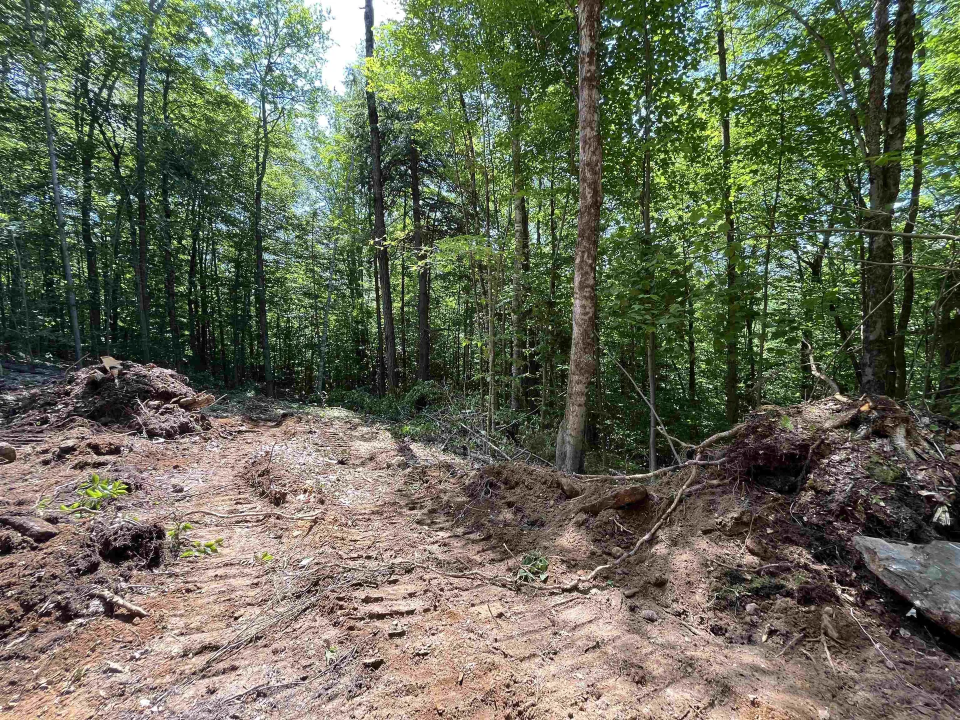 000 Echo View Drive Plymouth VT 05056