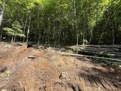000 Echo View Drive Plymouth VT 05056