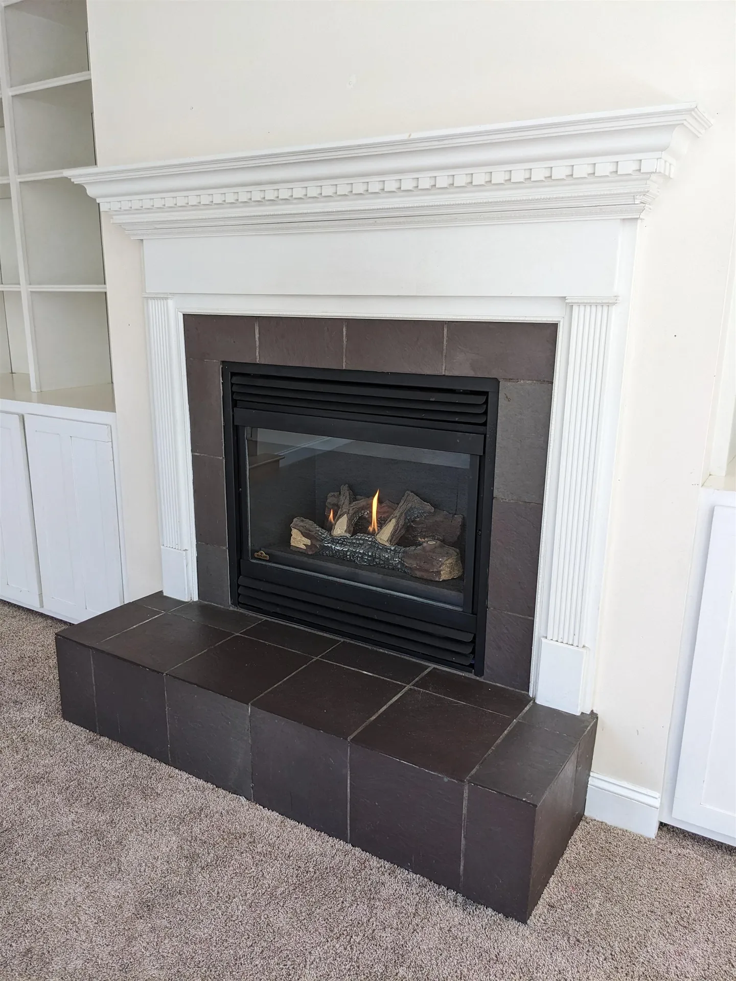 103 Lyman Avenue Burlington VT 05401