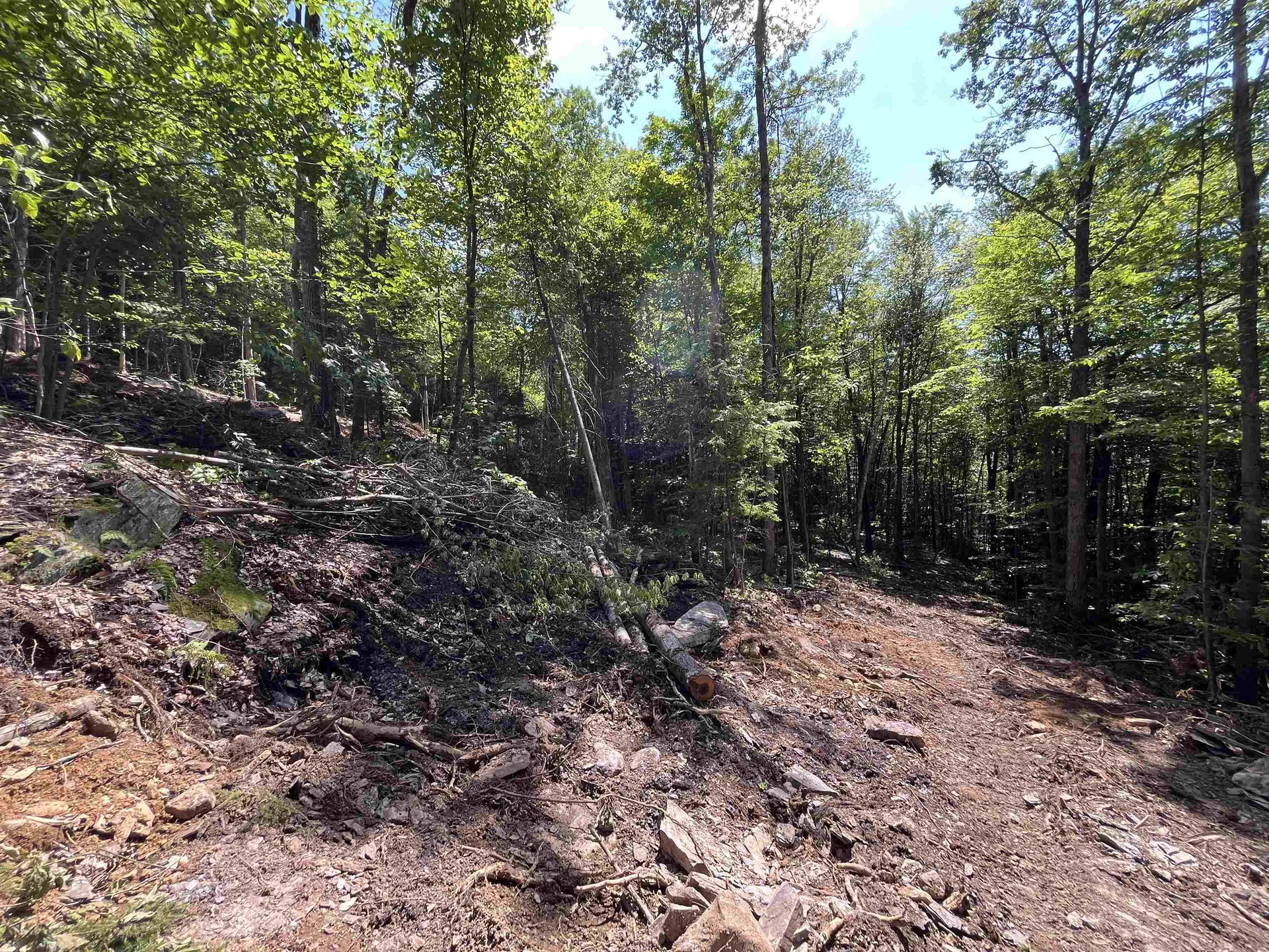 000 Echo View Drive Plymouth VT 05056