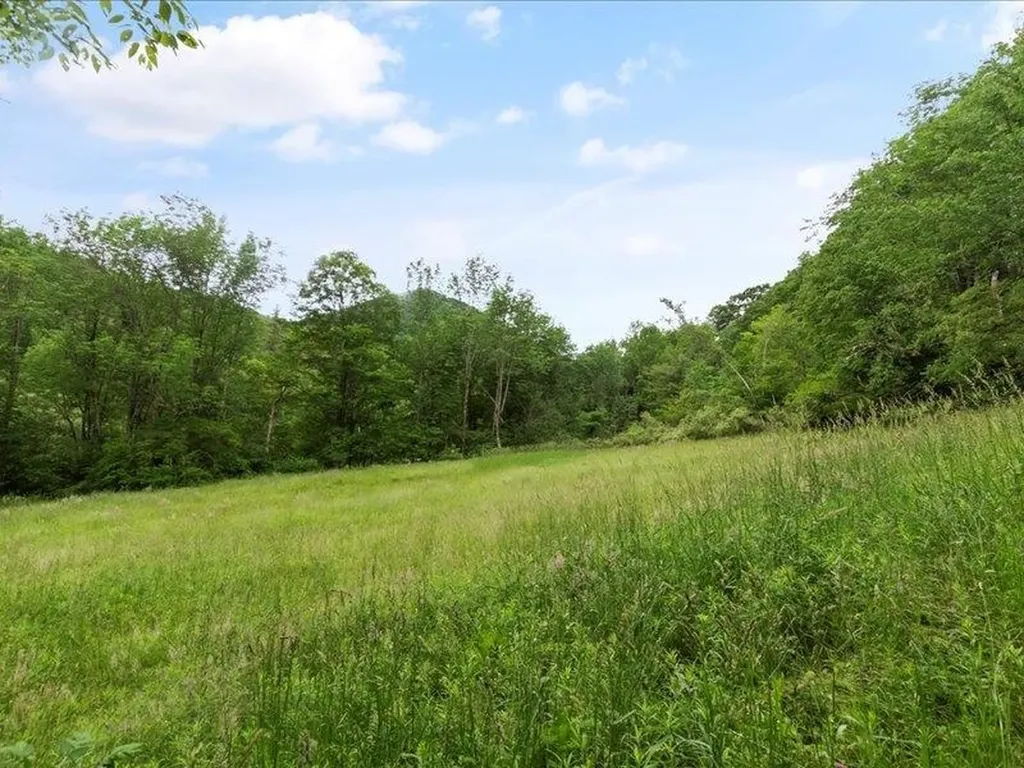 4401 Sandgate Road Sandgate VT 05250