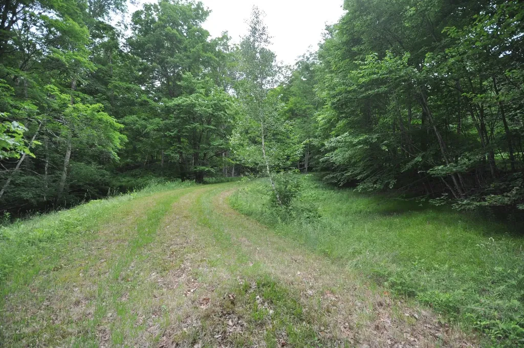 4401 Sandgate Road Sandgate VT 05250