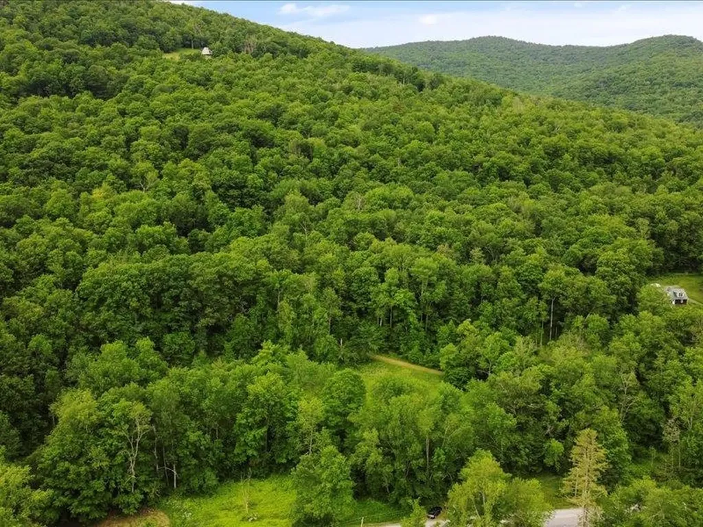 4401 Sandgate Road Sandgate VT 05250