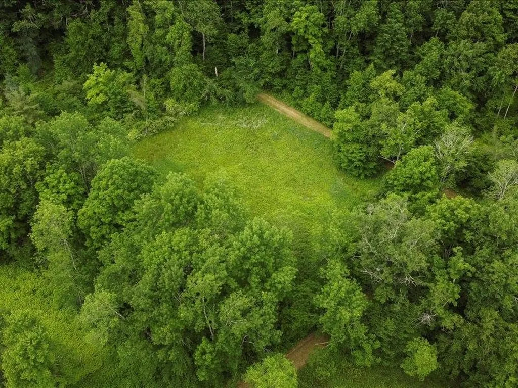 4401 Sandgate Road Sandgate VT 05250