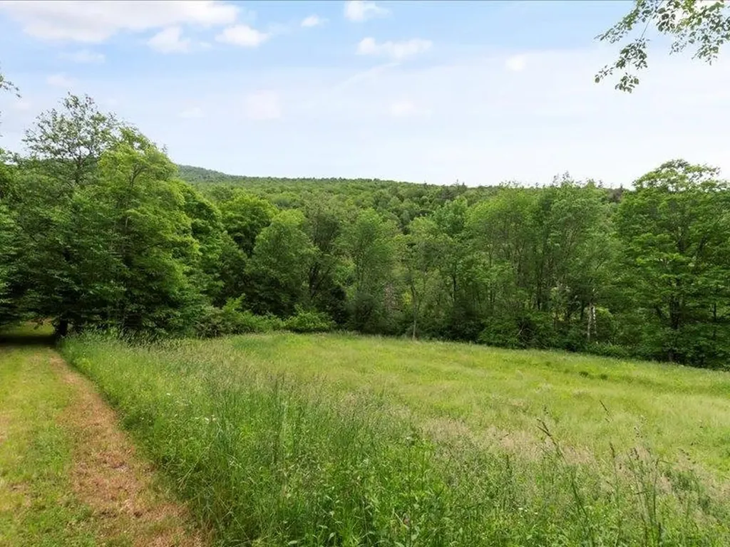 4401 Sandgate Road Sandgate VT 05250