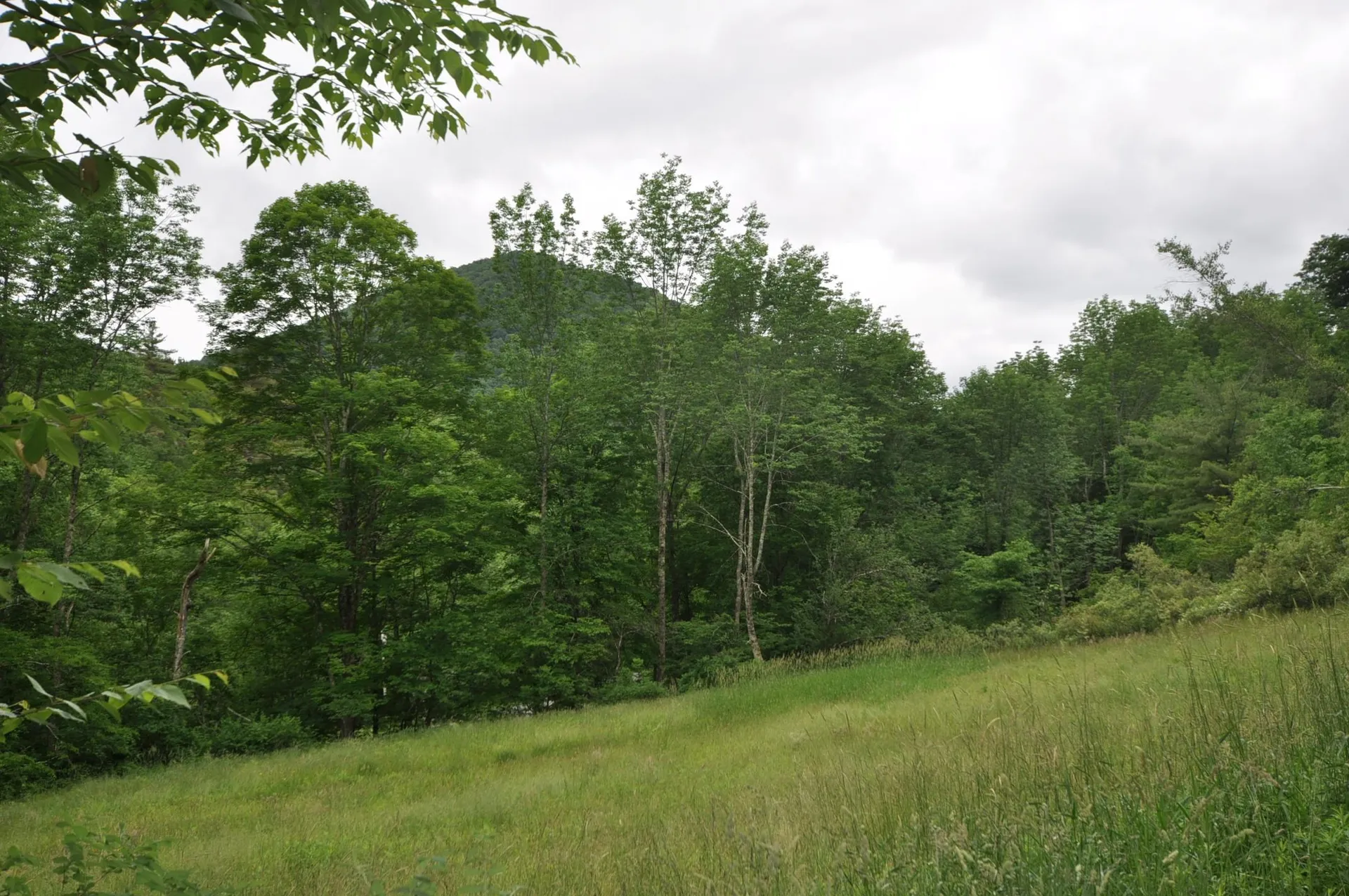 4401 Sandgate Road Sandgate VT 05250