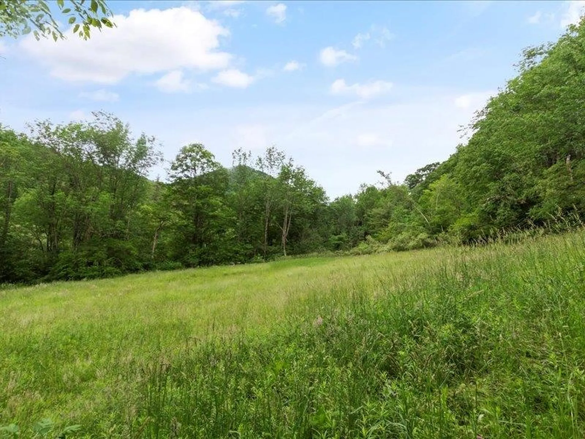 4401 Sandgate Road Sandgate VT 05250