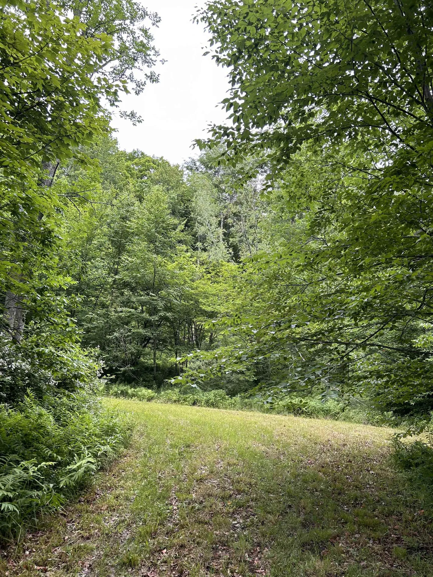 4401 Sandgate Road Sandgate VT 05250