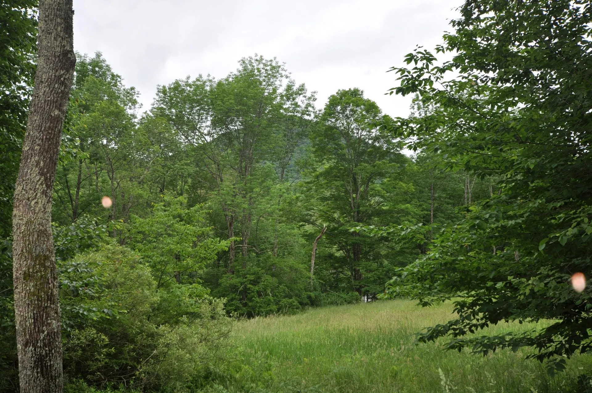 4401 Sandgate Road Sandgate VT 05250