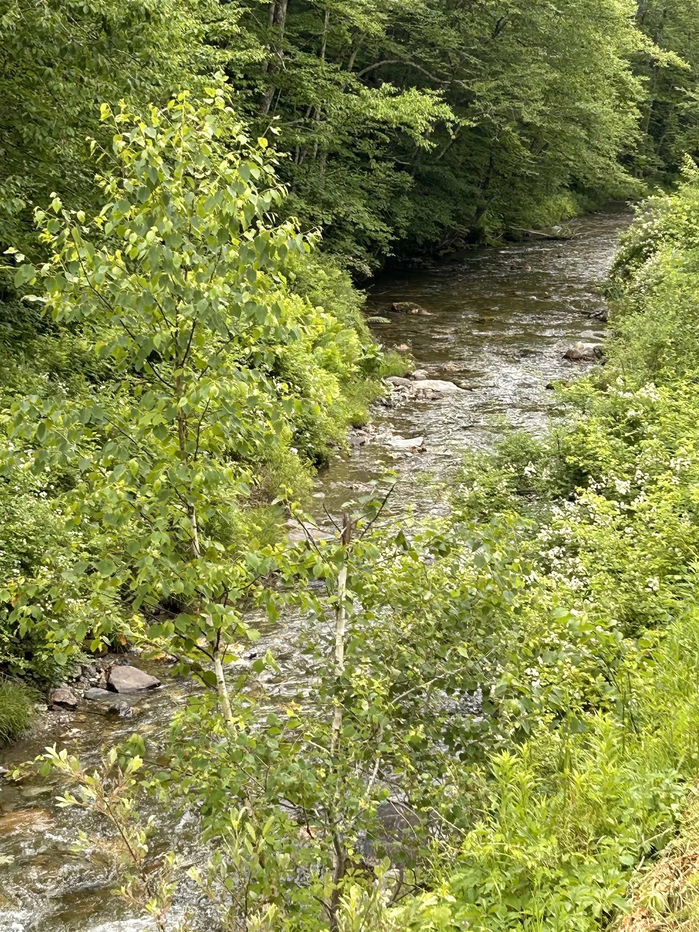 4401 Sandgate Road Sandgate VT 05250