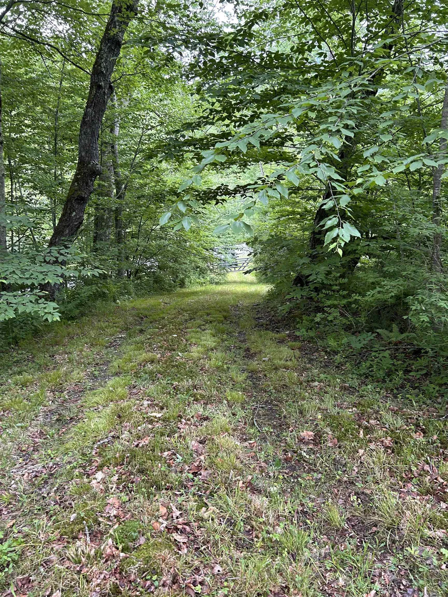 4401 Sandgate Road Sandgate VT 05250