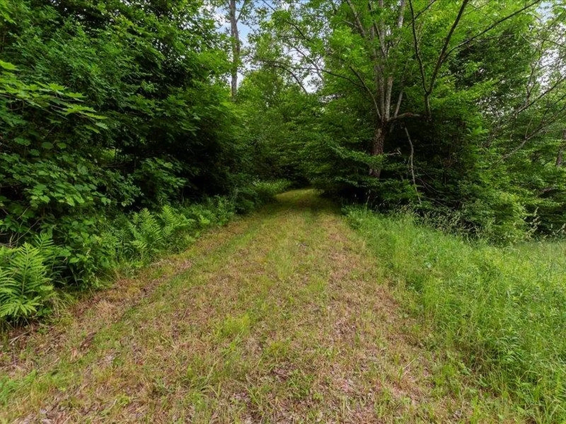 4401 Sandgate Road Sandgate VT 05250