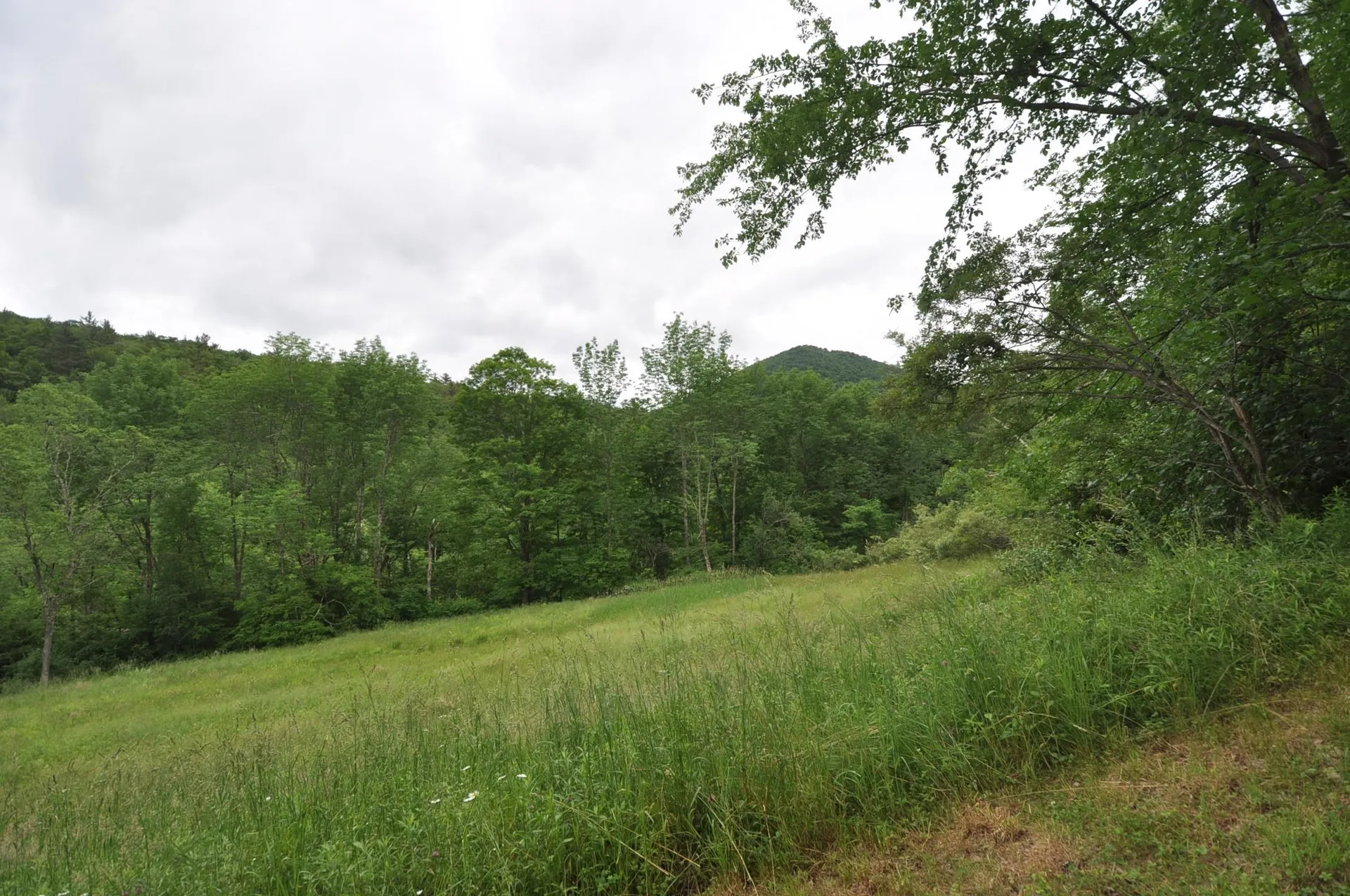 4401 Sandgate Road Sandgate VT 05250