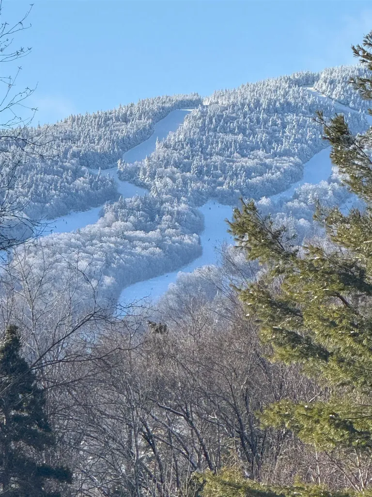 80 The Hollow Road Winhall VT 05340