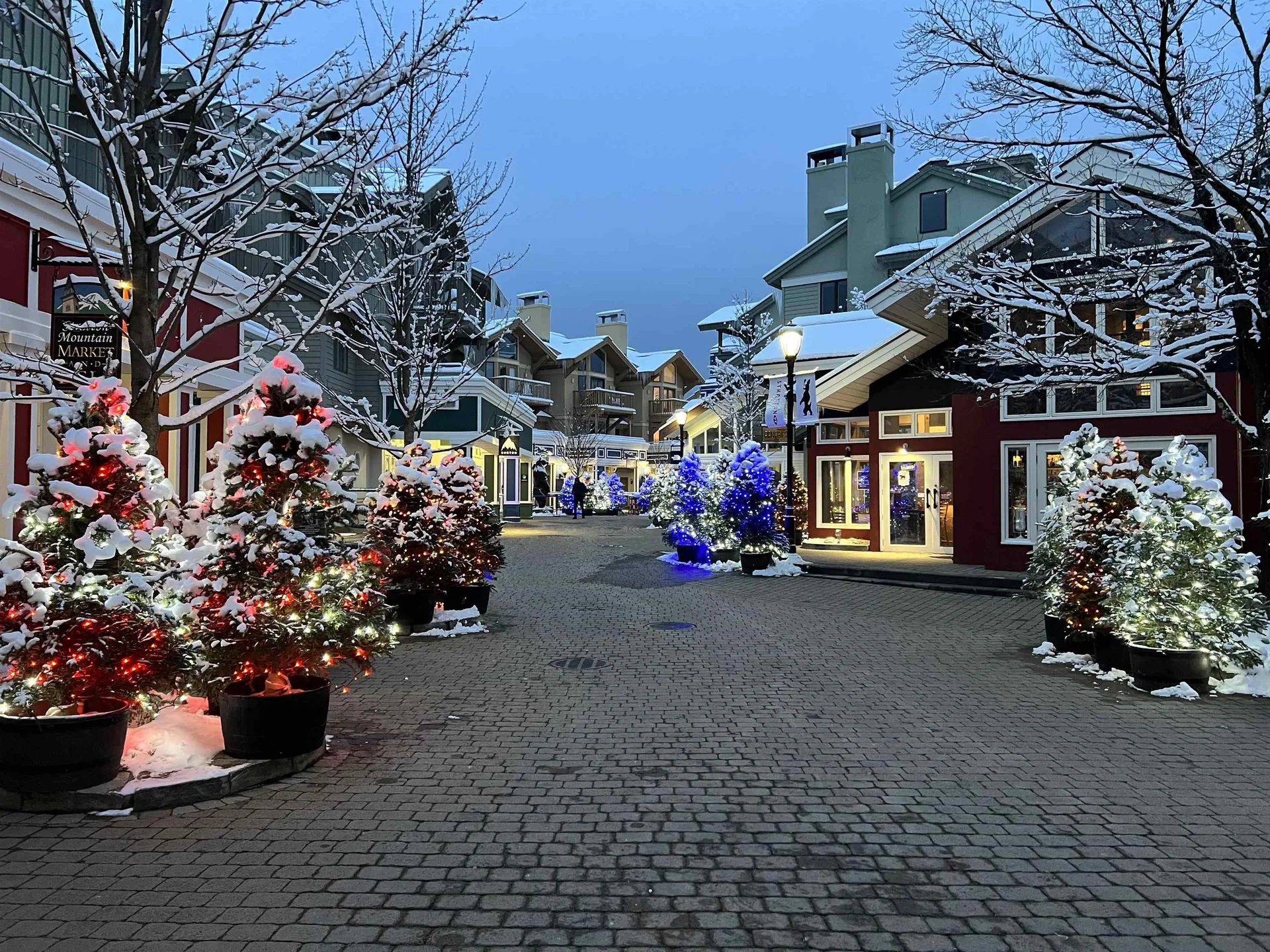 80 The Hollow Road Winhall VT 05340