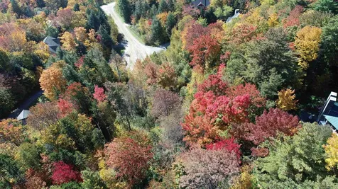 80 The Hollow Road Winhall VT 05340