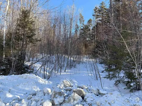 80 The Hollow Road Winhall VT 05340