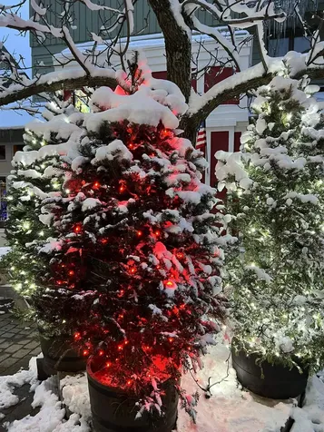 80 The Hollow Road Winhall VT 05340