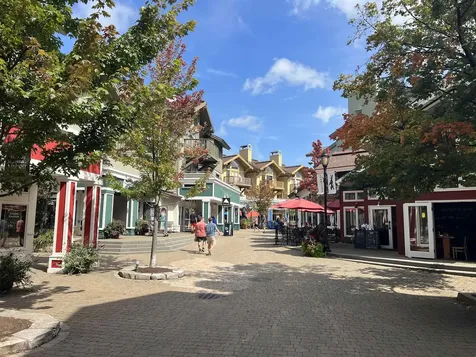 80 The Hollow Road Winhall VT 05340