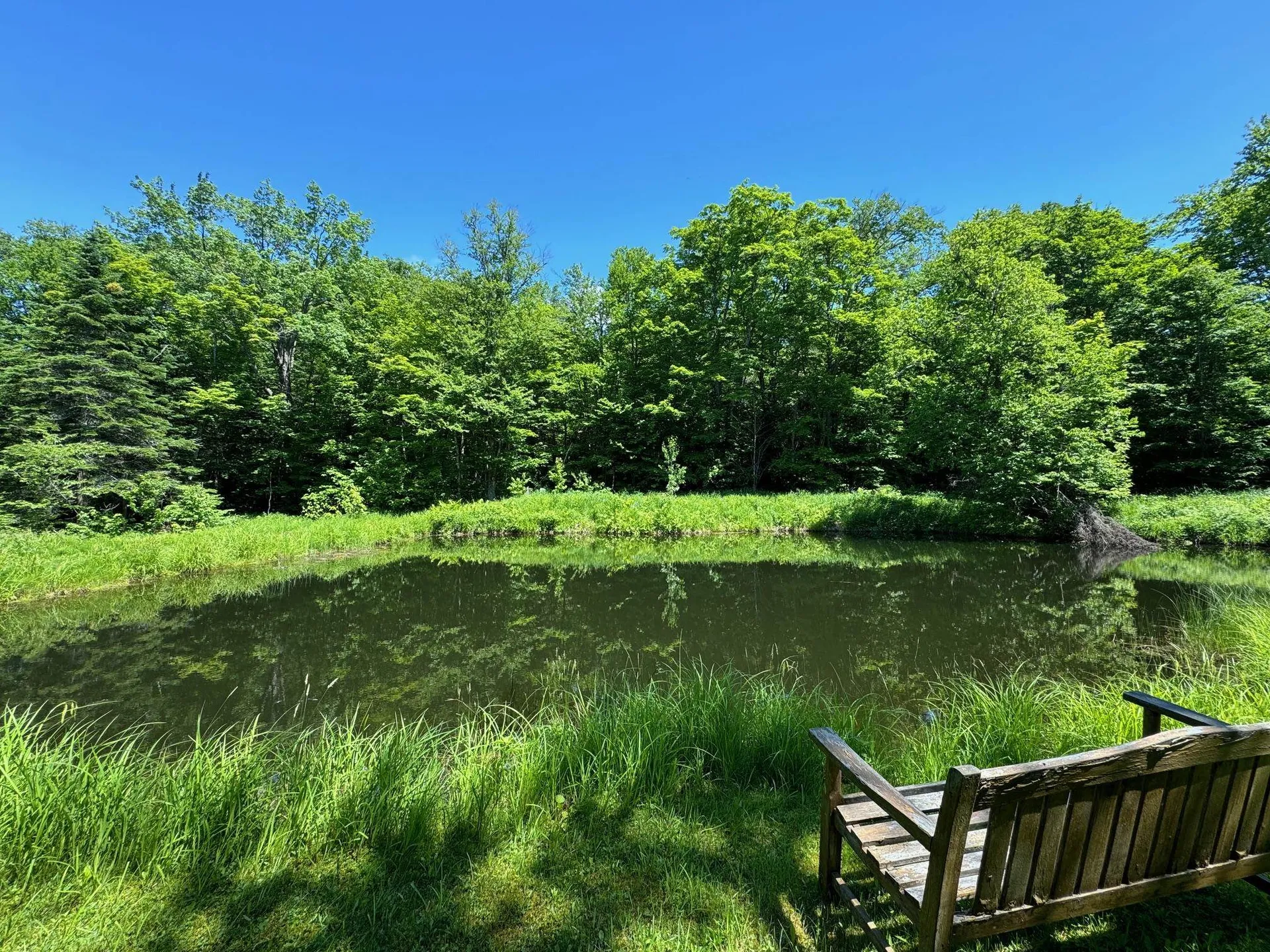 448 Eastern Avenue Walden VT 05836