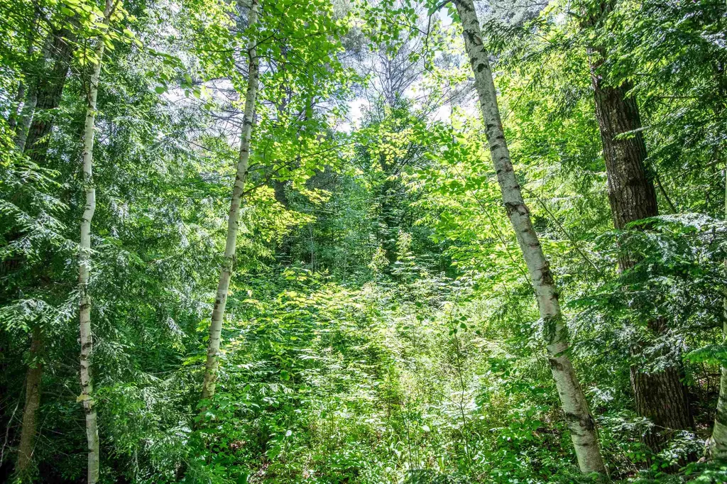 00 Hooke Road Ludlow VT 05149