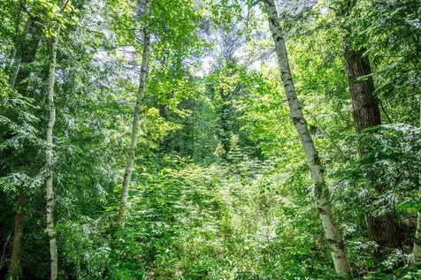 00 Hooke Road Ludlow VT 05149