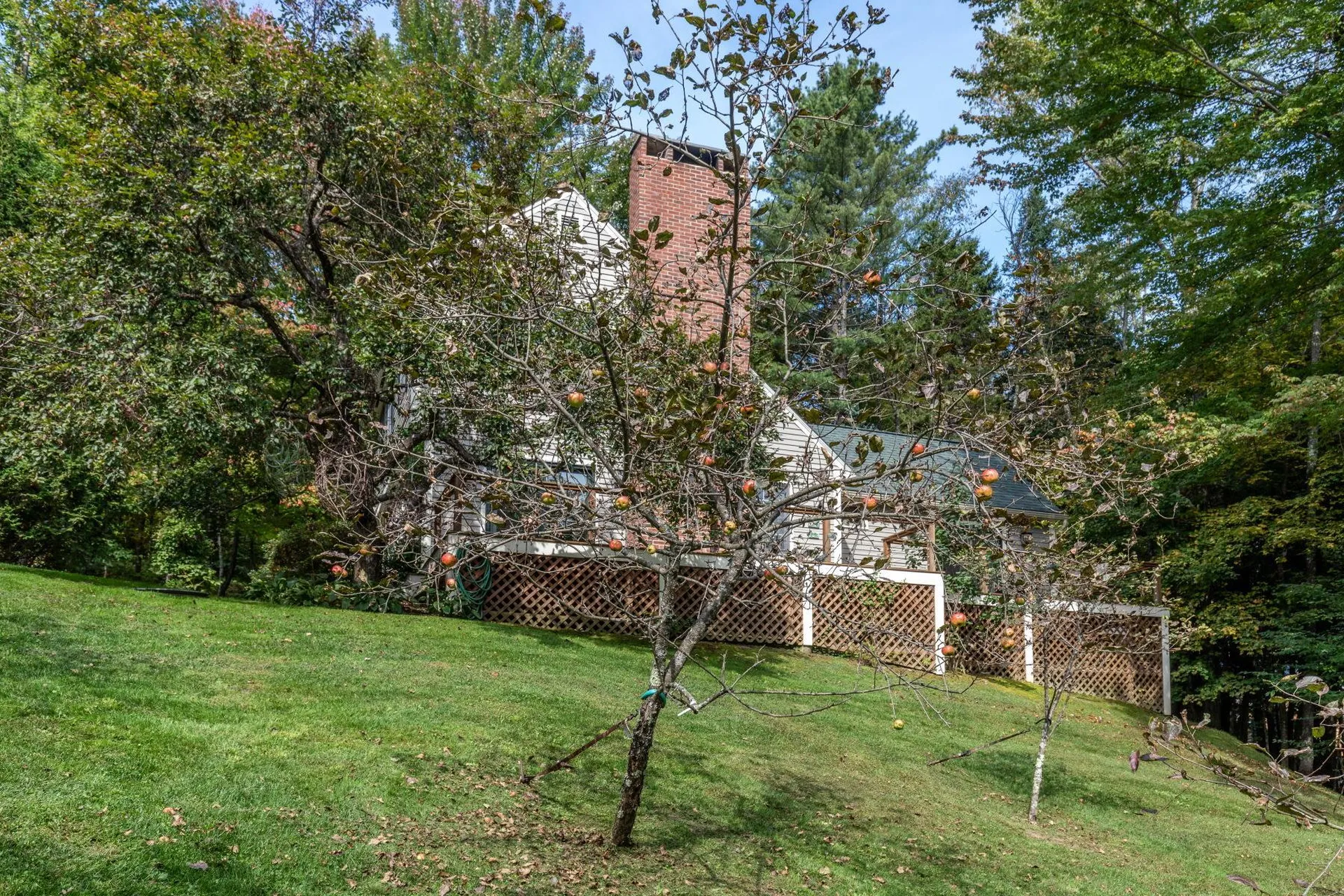 534 Moulton Lane Stowe VT 05672