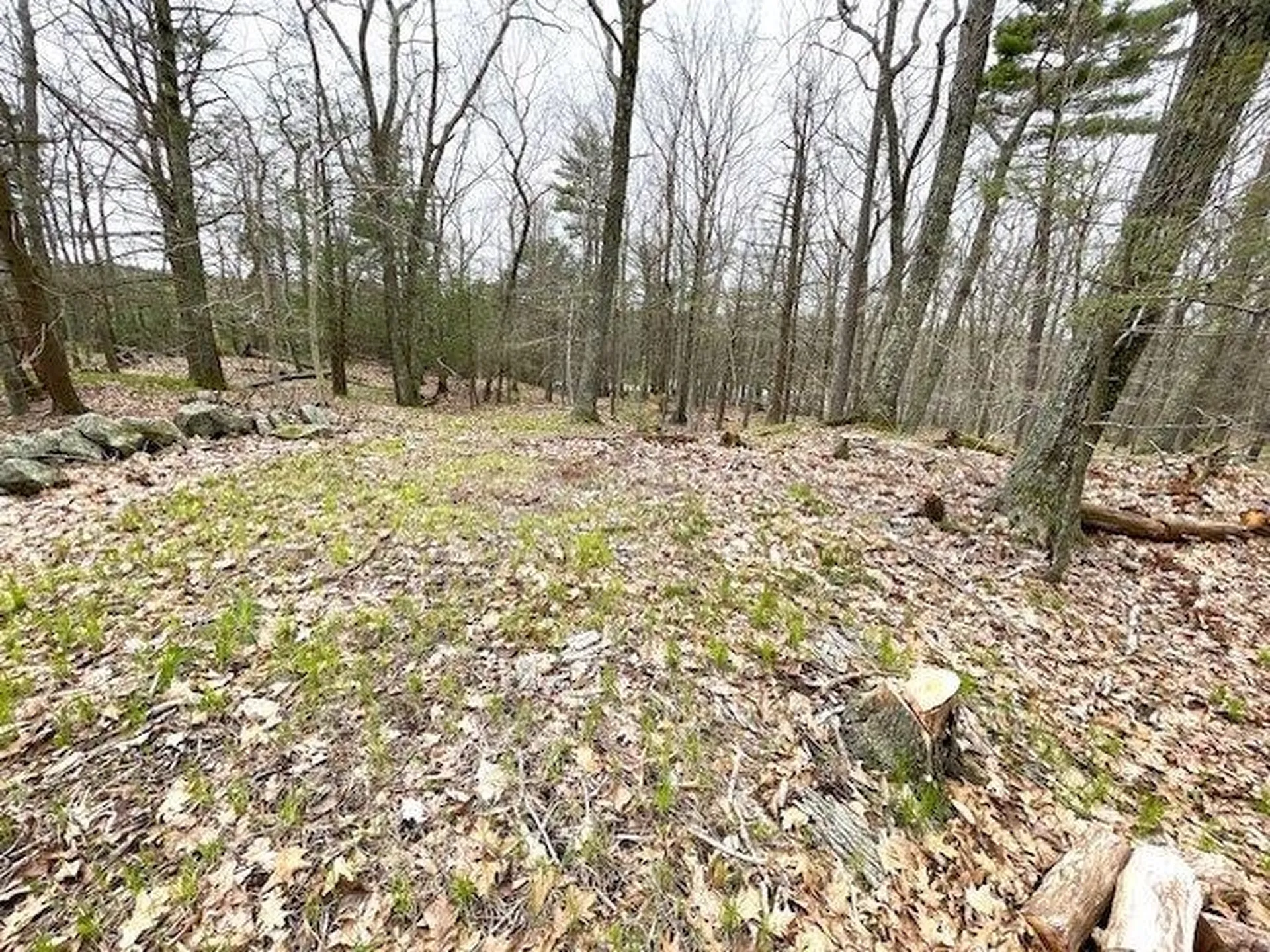 10 Oak Hill Trail York ME 03909