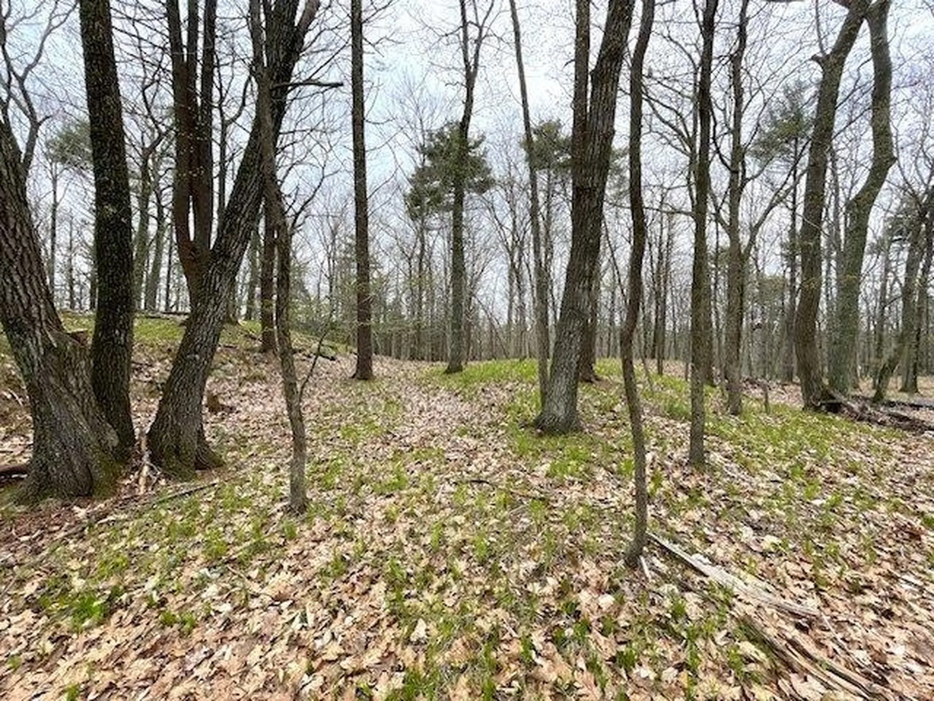 10 Oak Hill Trail York ME 03909