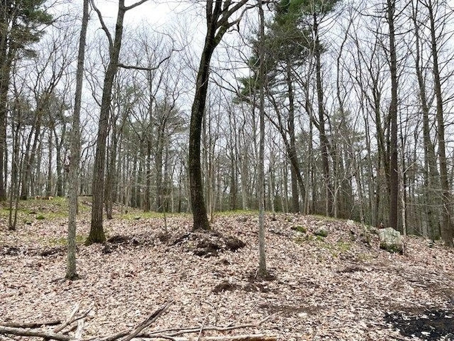 10 Oak Hill Trail York ME 03909