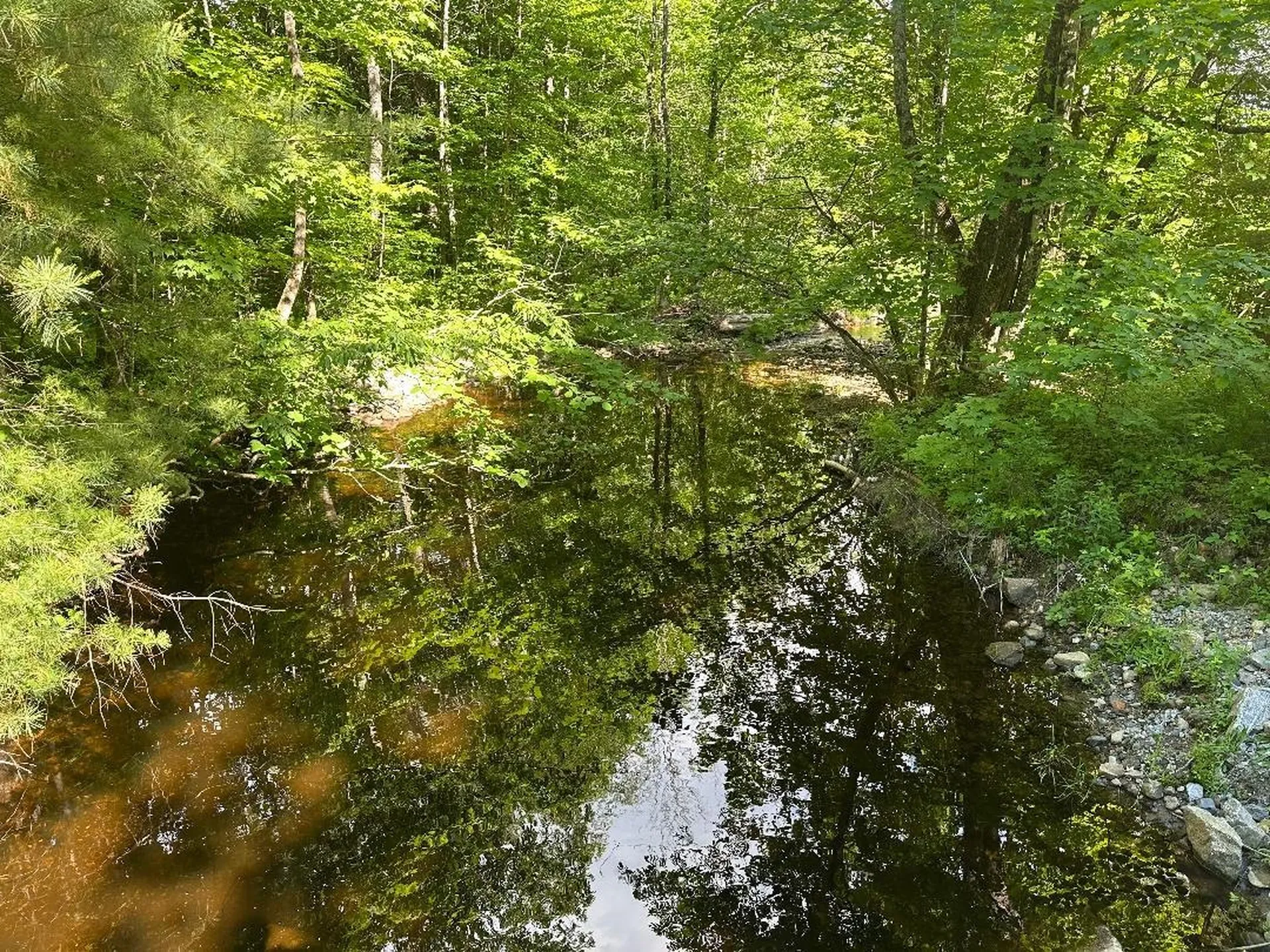 Lot #1 Frescoln Road Wentworth NH 03282