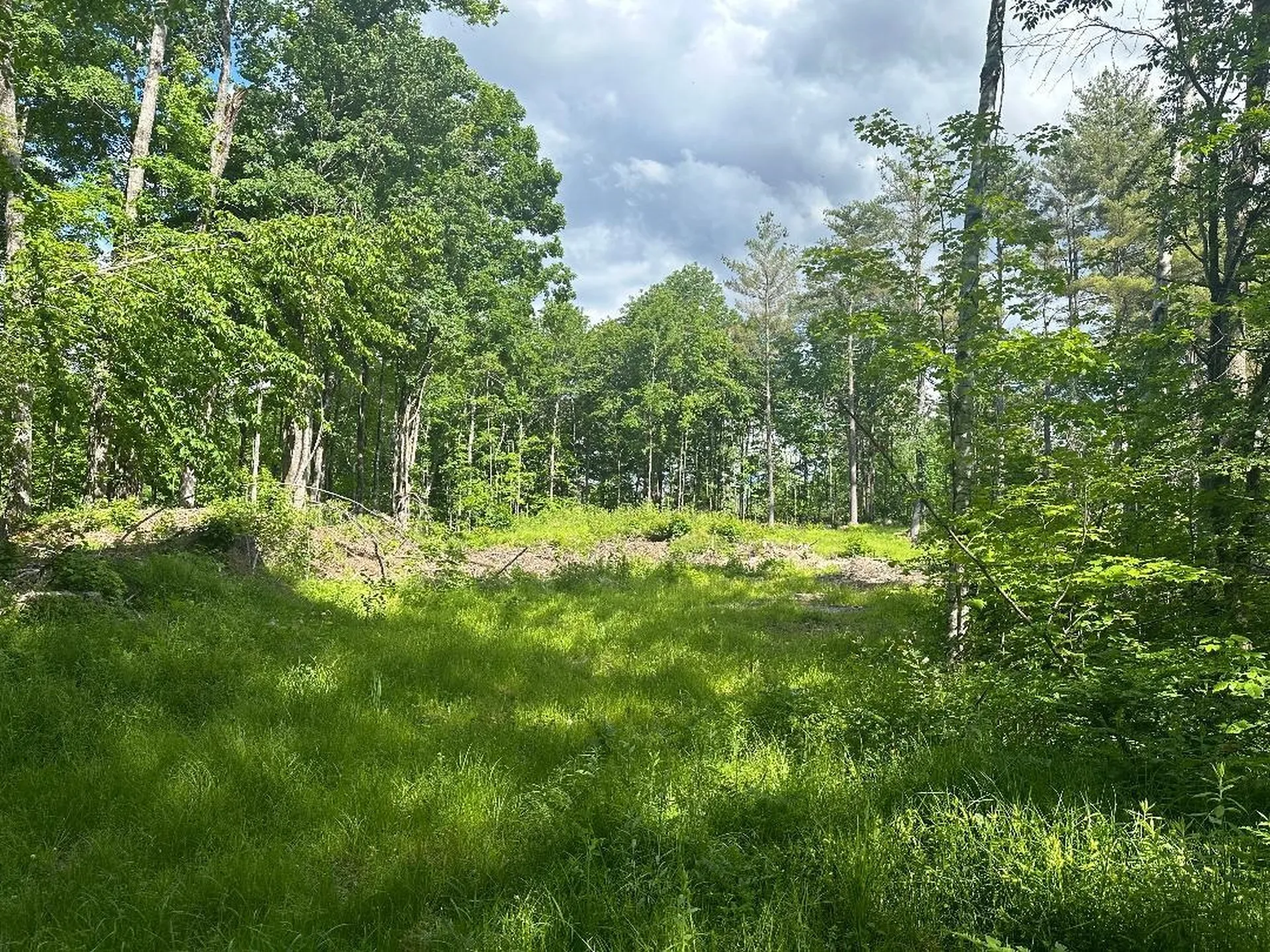 Lot #1 Frescoln Road Wentworth NH 03282