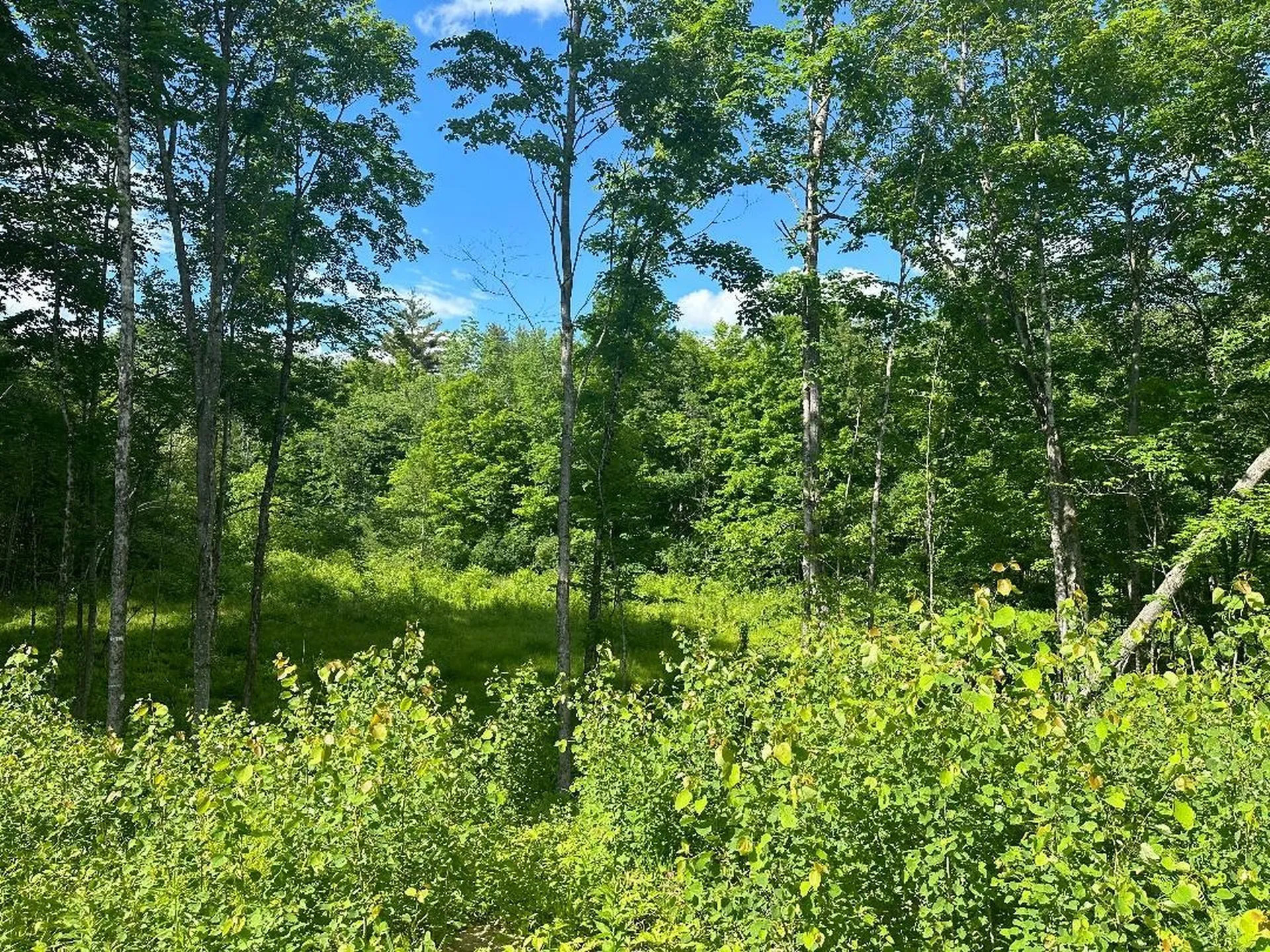 Lot #1 Frescoln Road Wentworth NH 03282