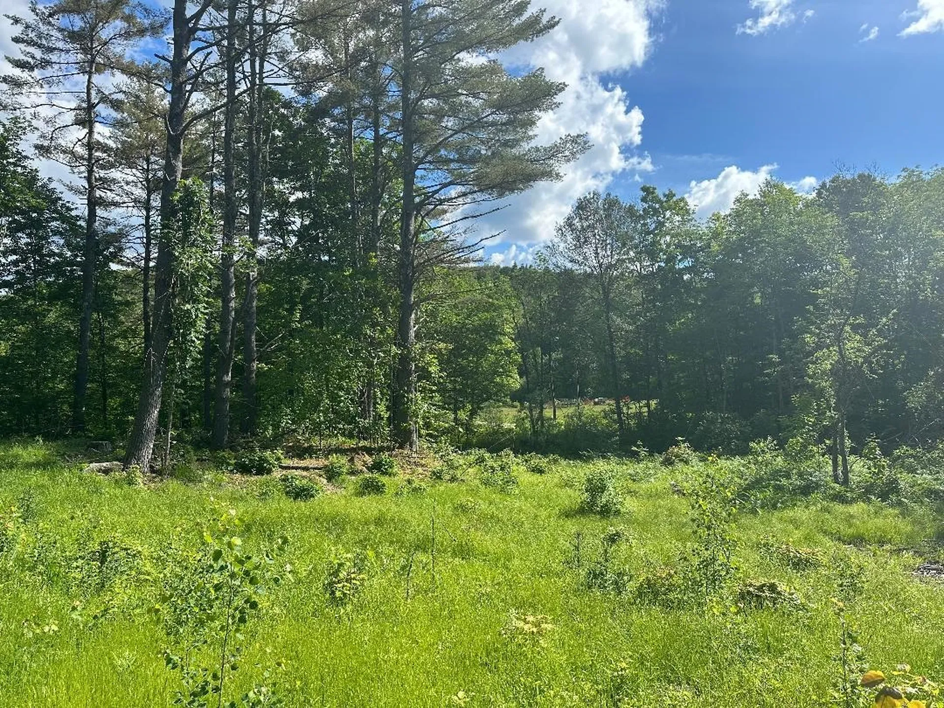 Lot #1 Frescoln Road Wentworth NH 03282