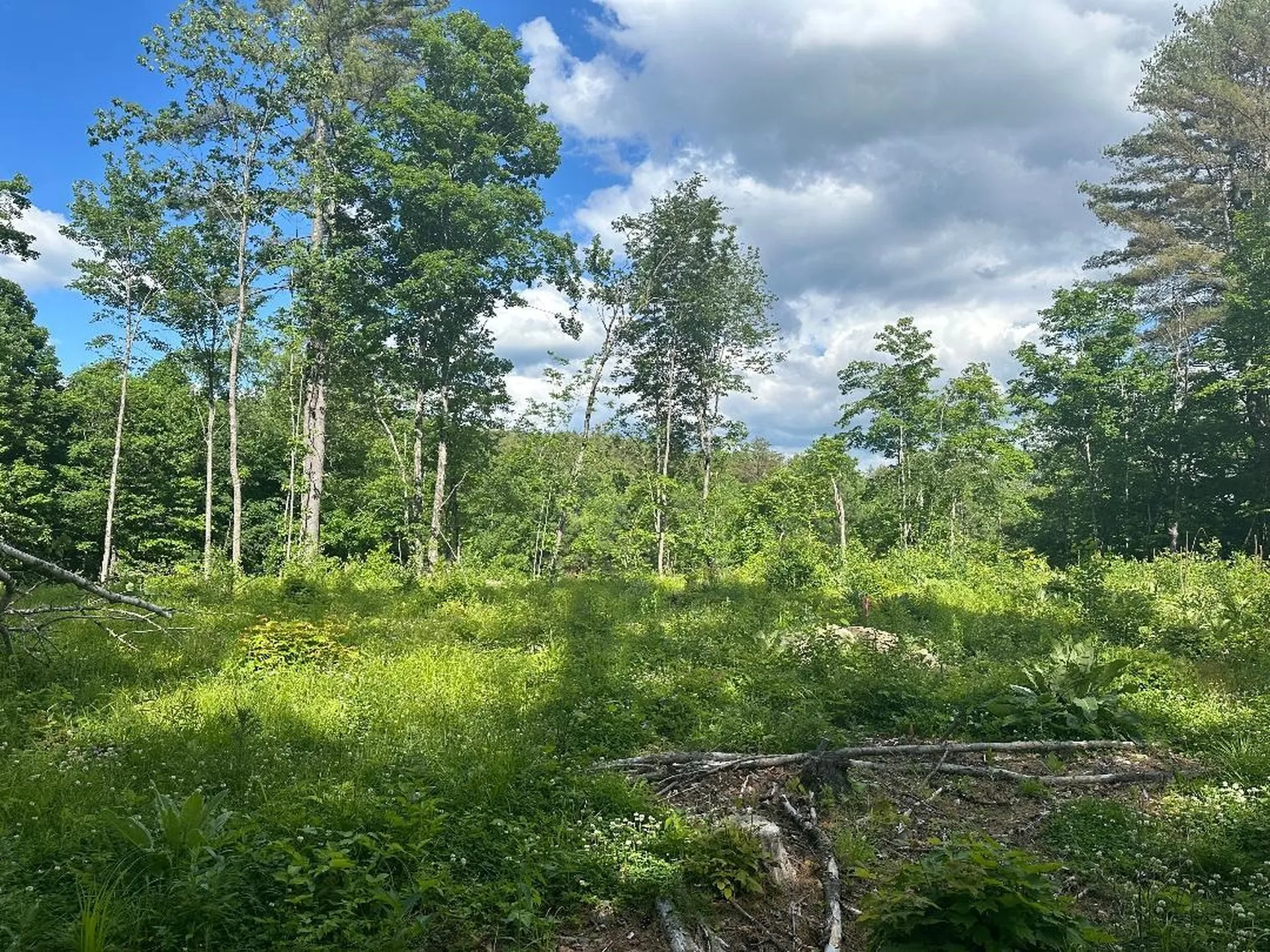 Lot #1 Frescoln Road Wentworth NH 03282