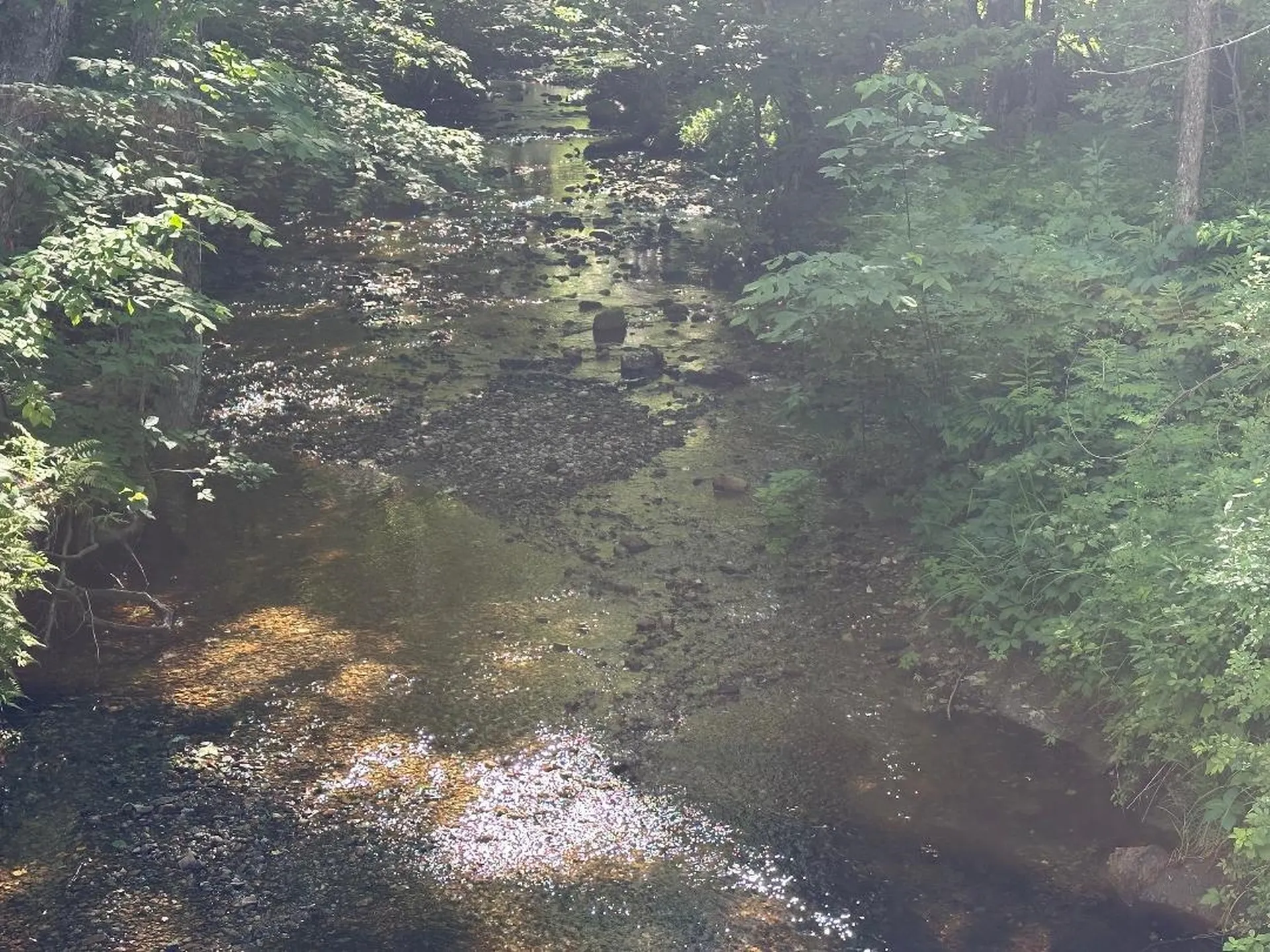 Lot #1 Frescoln Road Wentworth NH 03282