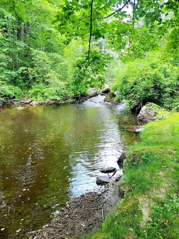 107 Village Road Wilmot NH 03287
