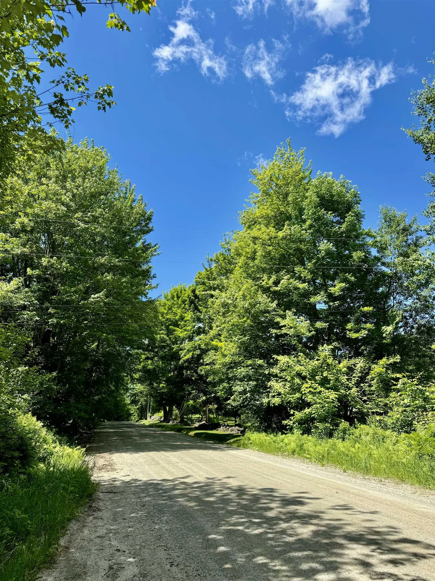 727 Baptist Hill Road Lunenburg VT 05906