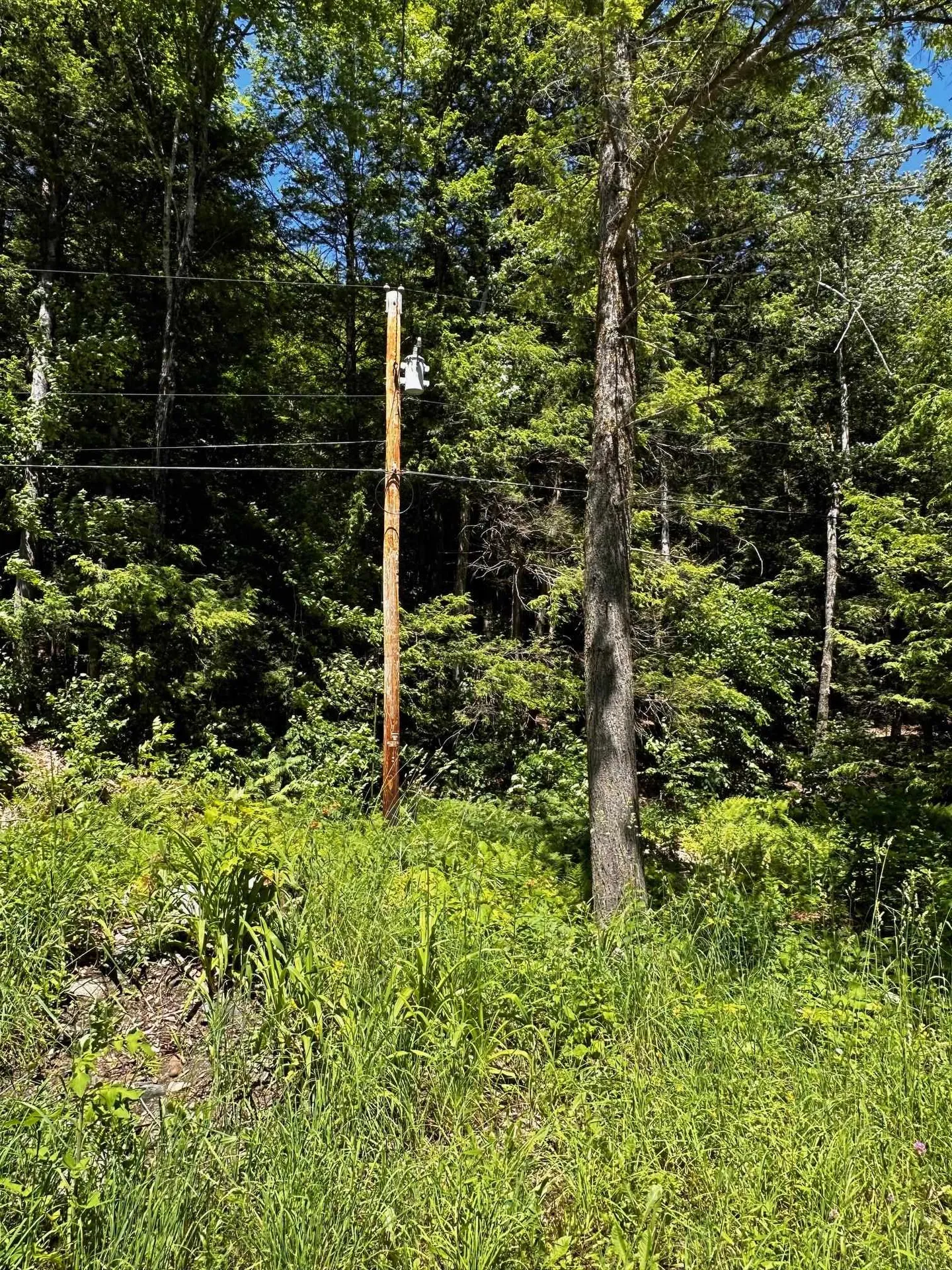 86 Goose City Road Dover VT 05341