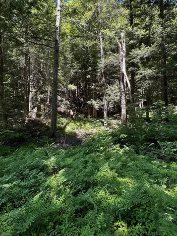 86 Goose City Road Dover VT 05341