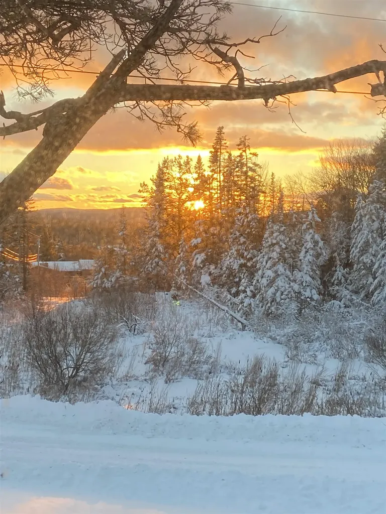 6733 Vt Route 9 Woodford VT 05201