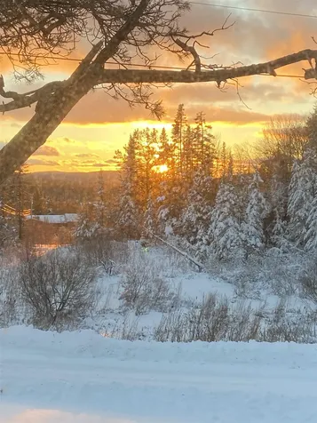 6733 Vt Route 9 Woodford VT 05201