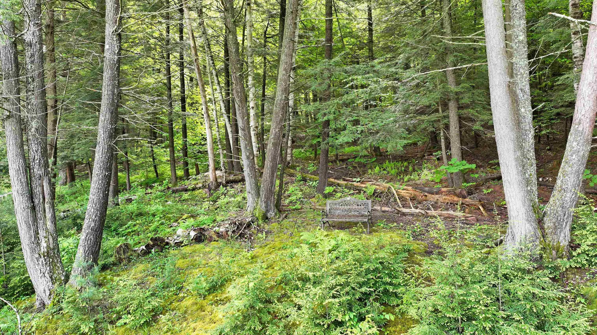 00 Nolan Bend Hartford VT 05001