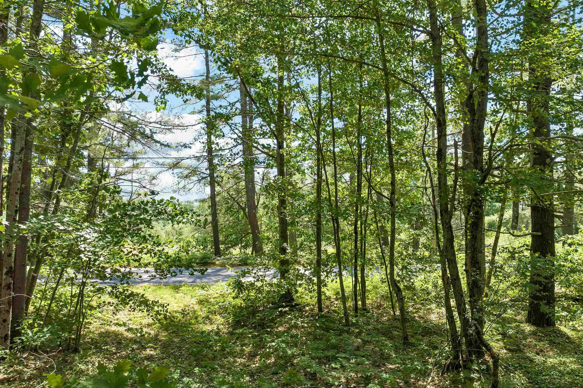 L39.2 Jackman Pond Road Tamworth NH 03883