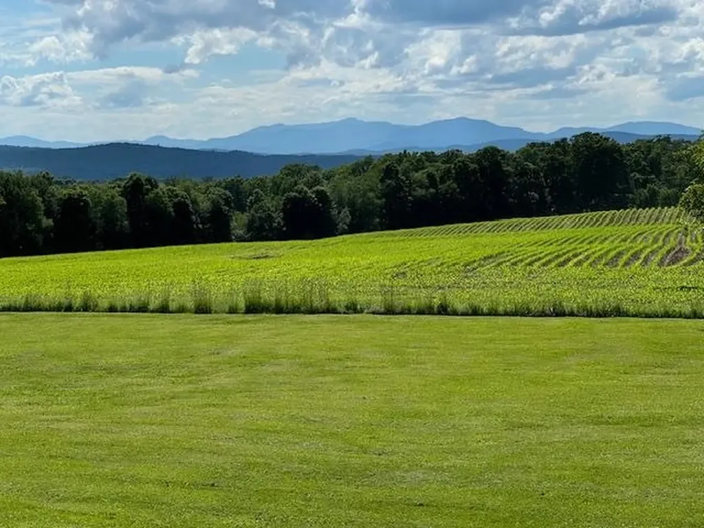 224 Echo Hill Road Craftsbury VT 05826