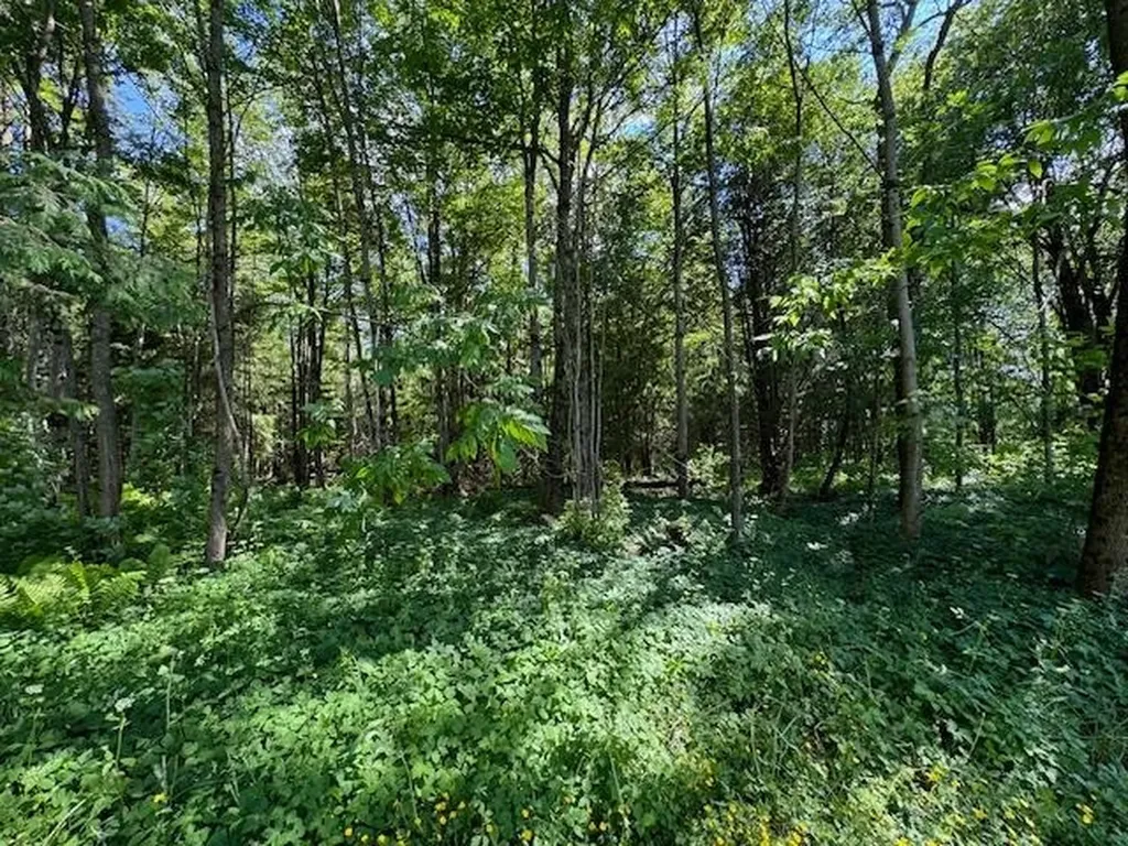 224 Echo Hill Road Craftsbury VT 05826