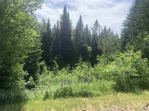 Lot 2 Brooks Park Road Stewartstown NH 03597